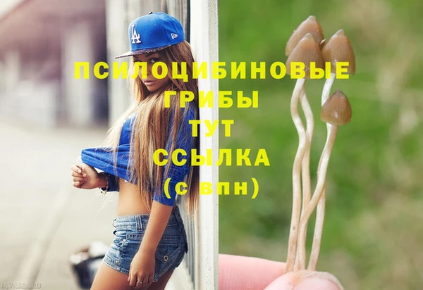 стаф Баксан